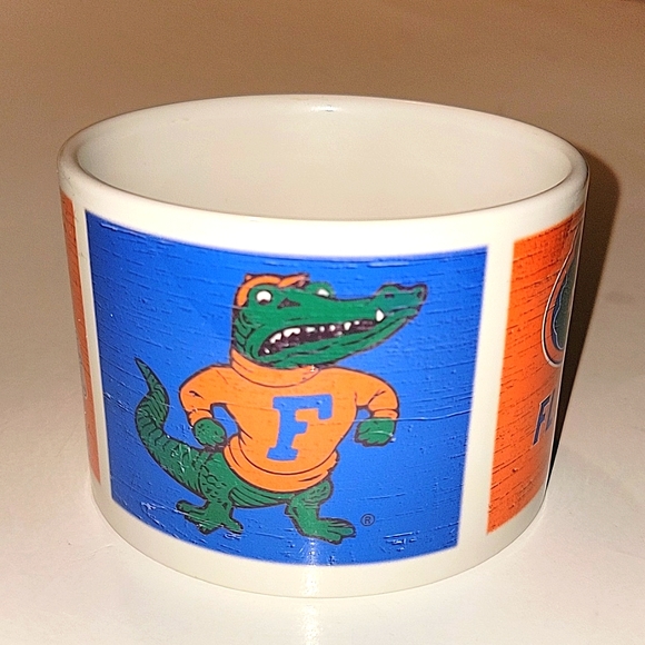 FLORIDA GATORS COLLEGIATE CERAMIC SERVING BOWL